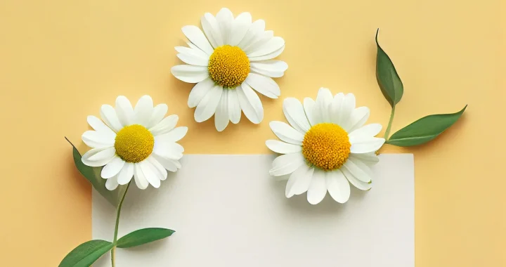 Was ist Wissenschaft?